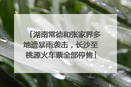 湖南常德和张家界多地遭暴雨袭击，长沙至桃源火车票全部停售