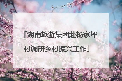湖南旅游集团赴杨家坪村调研乡村振兴工作
