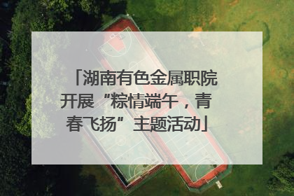 湖南有色金属职院开展“粽情端午，青春飞扬”主题活动