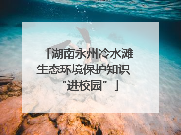 湖南永州冷水滩生态环境保护知识“进校园”