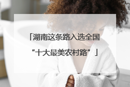 湖南这条路入选全国“十大最美农村路”