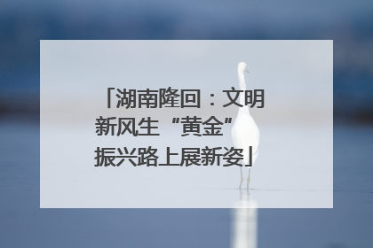 湖南隆回：文明新风生“黄金” 振兴路上展新姿