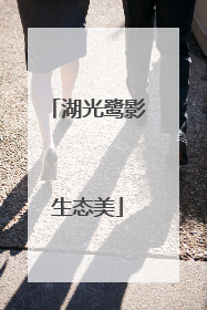 湖光鹭影生态美