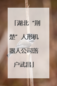 湖北“荆楚”人形机器人公司落户武昌