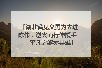 湖北省见义勇为先进陈伟：逆火而行伸援手，平凡之躯亦英雄