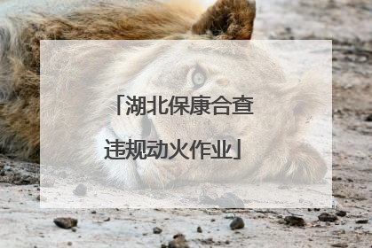 湖北保康合查违规动火作业