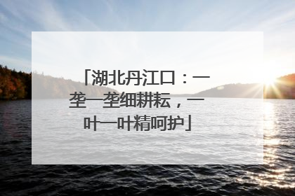 湖北丹江口：一垄一垄细耕耘，一叶一叶精呵护