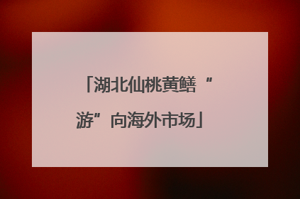 湖北仙桃黄鳝“游”向海外市场