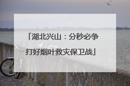 湖北兴山：分秒必争 打好烟叶救灾保卫战