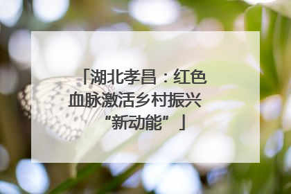湖北孝昌：红色血脉激活乡村振兴“新动能”