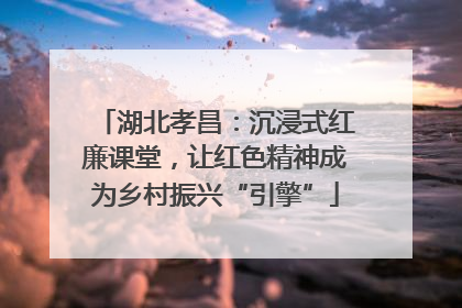 湖北孝昌：沉浸式红廉课堂，让红色精神成为乡村振兴“引擎”