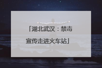 湖北武汉：禁毒宣传走进火车站