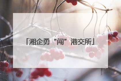 湘企勇“闯”港交所
