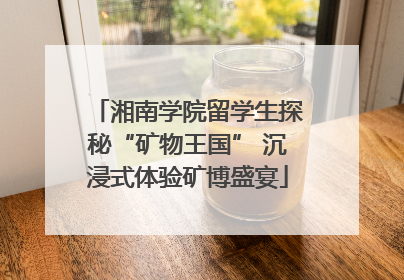 湘南学院留学生探秘“矿物王国” 沉浸式体验矿博盛宴