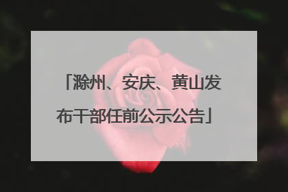 滁州、安庆、黄山发布干部任前公示公告