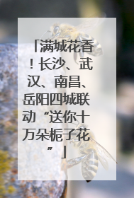 满城花香！长沙、武汉、南昌、岳阳四城联动“送你十万朵栀子花”