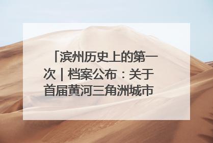滨州历史上的第一次｜档案公布：关于首届黄河三角洲城市经济博览会暨发展论坛情况的总结报告
