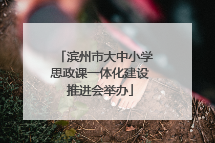 滨州市大中小学思政课一体化建设推进会举办