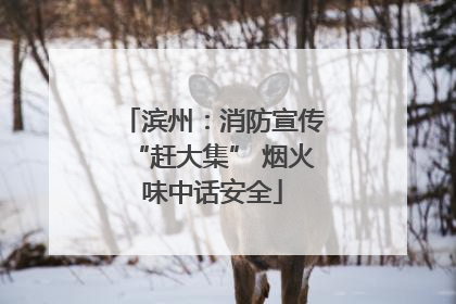 滨州：消防宣传“赶大集” 烟火味中话安全