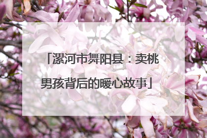 漯河市舞阳县：卖桃男孩背后的暖心故事