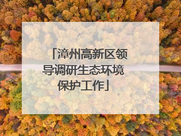 漳州高新区领导调研生态环境保护工作