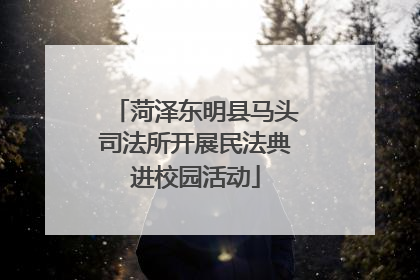 菏泽东明县马头司法所开展民法典进校园活动