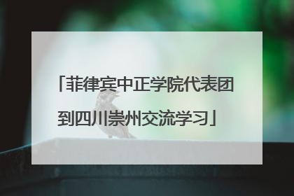 菲律宾中正学院代表团到四川崇州交流学习