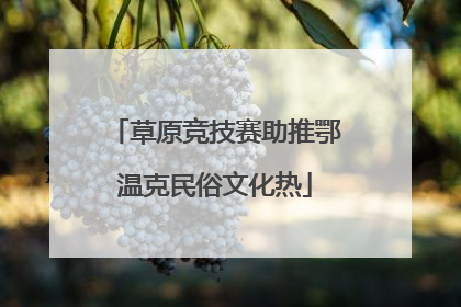 草原竞技赛助推鄂温克民俗文化热