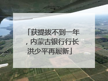 获提拔不到一年，内蒙古银行行长洪少平再履新