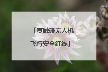 莫触碰无人机飞行安全红线