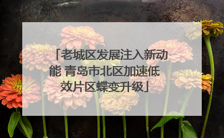 老城区发展注入新动能 青岛市北区加速低效片区蝶变升级
