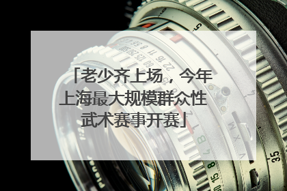 老少齐上场，今年上海最大规模群众性武术赛事开赛