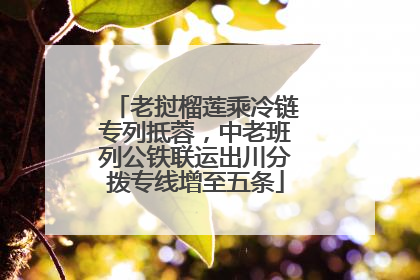 老挝榴莲乘冷链专列抵蓉，中老班列公铁联运出川分拨专线增至五条