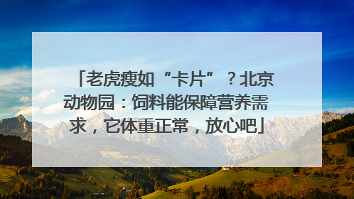 老虎瘦如“卡片”？北京动物园：饲料能保障营养需求，它体重正常，放心吧