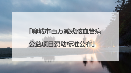 聊城市百万减残脑血管病公益项目资助标准公布