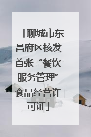 聊城市东昌府区核发首张“餐饮服务管理”食品经营许可证