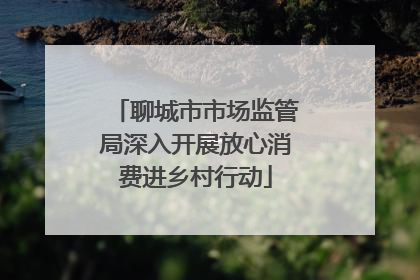 聊城市市场监管局深入开展放心消费进乡村行动