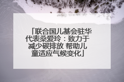 联合国儿基会驻华代表桑爱玲：致力于减少碳排放 帮助儿童适应气候变化