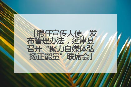 聘任宣传大使、发布管理办法，延津县召开“聚力自媒体弘扬正能量”联席会