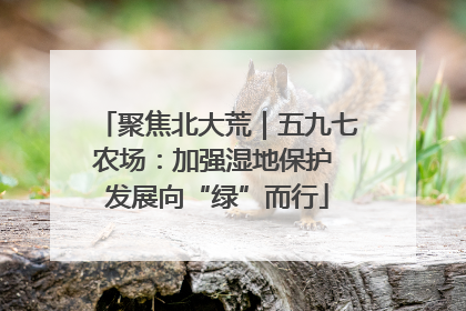 聚焦北大荒｜五九七农场：加强湿地保护 发展向“绿”而行