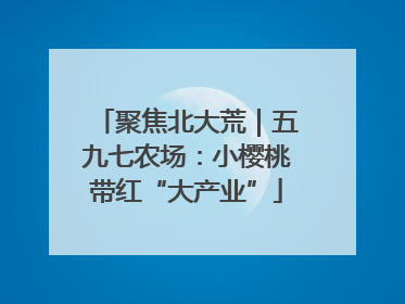 聚焦北大荒｜五九七农场：小樱桃带红“大产业”