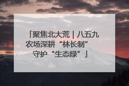 聚焦北大荒｜八五九农场深耕“林长制” 守护“生态绿”