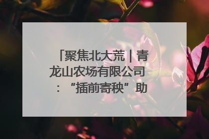 聚焦北大荒｜青龙山农场有限公司：“插前寄秧”助力农业节本增效