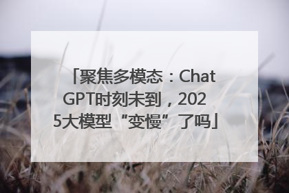 聚焦多模态：ChatGPT时刻未到，2025大模型“变慢”了吗