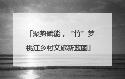 聚势赋能，“竹”梦桃江乡村文旅新蓝图