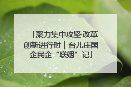 聚力集中攻坚·改革创新进行时｜台儿庄国企民企“联姻”记