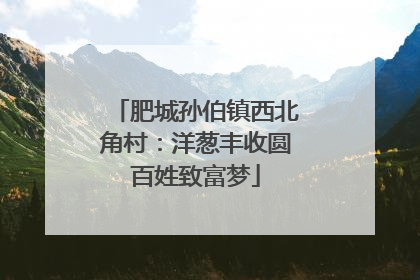 肥城孙伯镇西北角村：洋葱丰收圆百姓致富梦