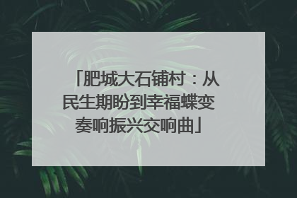 肥城大石铺村：从民生期盼到幸福蝶变奏响振兴交响曲