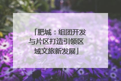 肥城：组团开发与片区打造引领区域文旅新发展