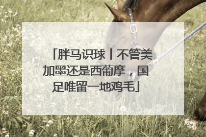 胖马识球丨不管美加墨还是西葡摩，国足唯留一地鸡毛